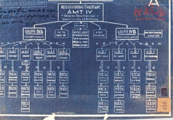 Organigramm0001.jpg