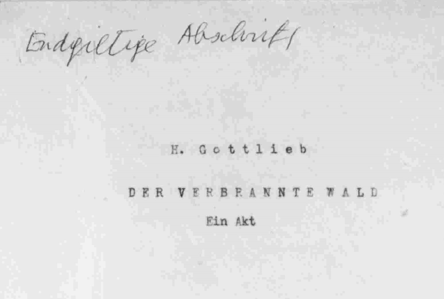 RG-68.106M.Titelseite Wald_geschnitten.jpg