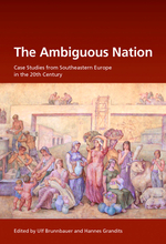 Ambiguous Nation