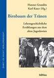 birnbaum2