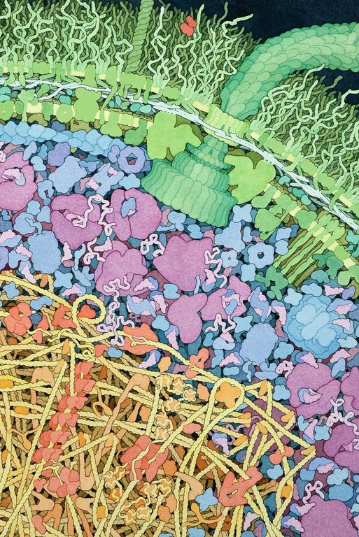 Mathias Grote Molecular Machines