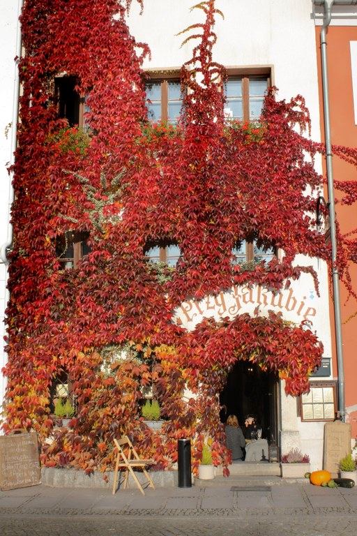 Görlitz 2011