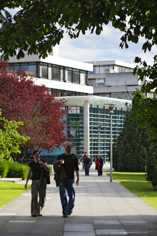 UCD_foto1.jpg